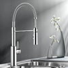 Blanco Catris-S Industrial Sink Mixer Ch