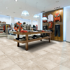 Faenza Sand Matt Glazed Porcelain