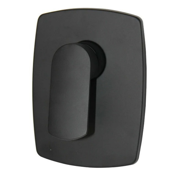 Spring Black Concealed Shower Mixer Regular price