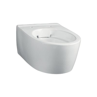 iCon W/H Rimfree WC Pan - Small Proj.