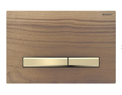 Sigma 50 Base Plate & Buttons: Brass Cover plate: Black Walnut