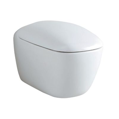 Citterio WC Seat Only - Soft Close
